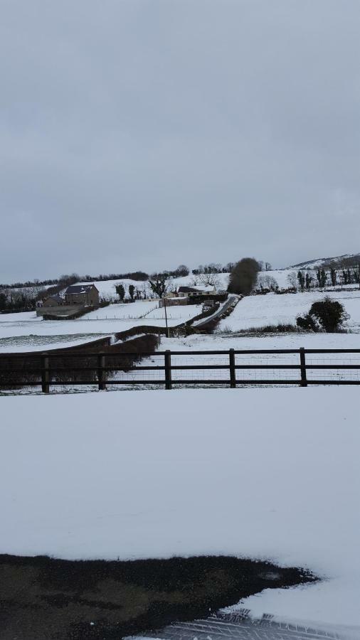 Holly Cottage Newry Kültér fotó