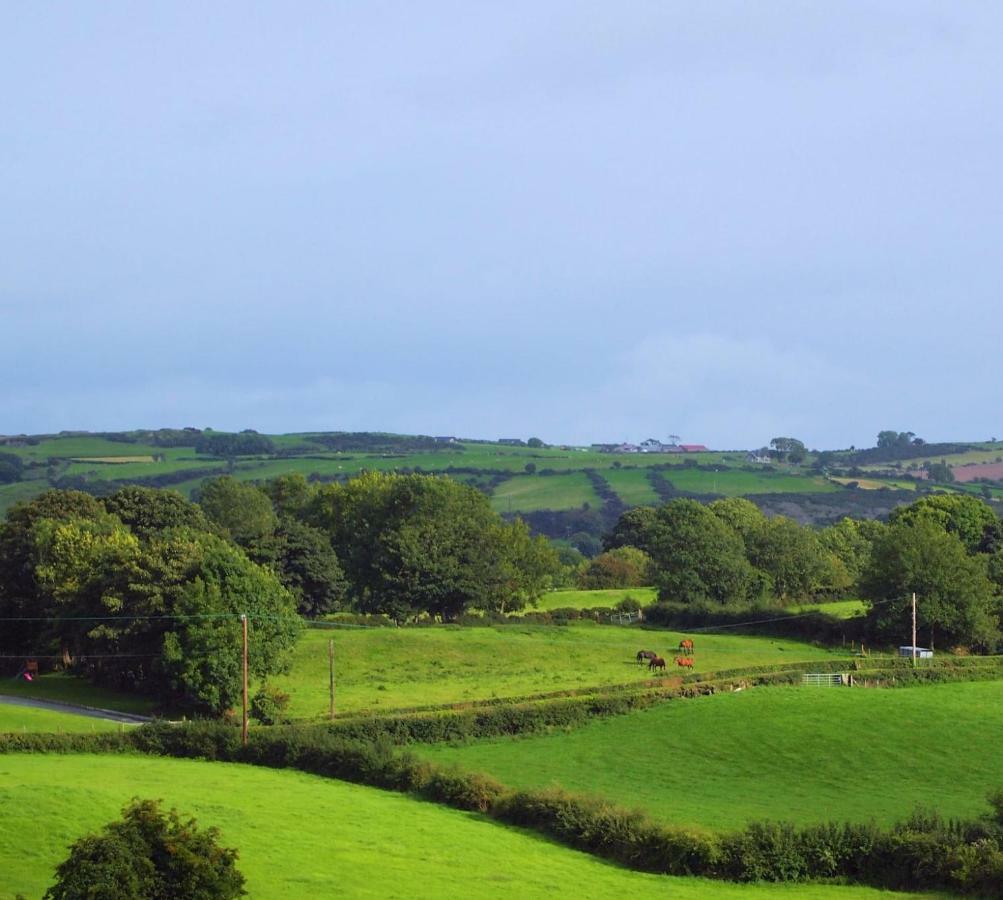 Holly Cottage Newry Kültér fotó